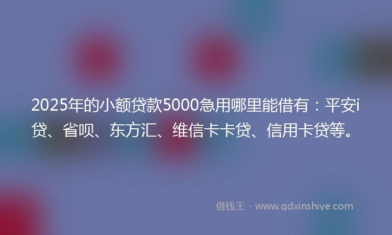 2025年的小额贷款5000急用哪里能借有：平安i贷、省呗、东方汇、维信卡卡贷、信用卡贷等。