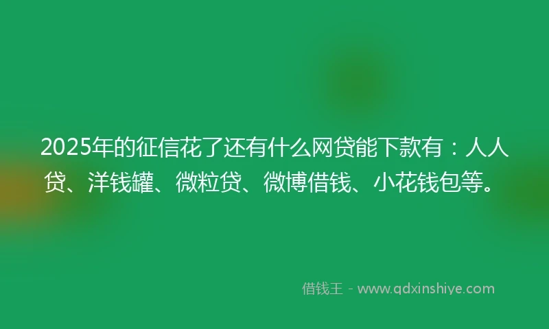 2025年的征信花了还有什么网贷能下款有：人人贷、洋钱罐、微粒贷、微博借钱、小花钱包等。