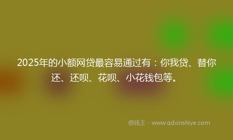2025年的小额网贷最容易通过有：你我贷、替你还、还呗、花呗、小花钱包等。
