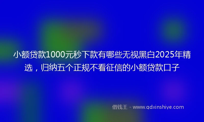 小额贷款1000元秒下款有哪些无视黑白2025年精选，归纳五个正规不看征信的小额贷款口子