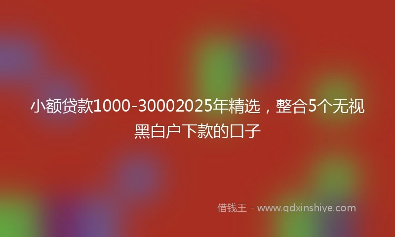 小额贷款1000-30002025年精选，整合5个无视黑白户下款的口子