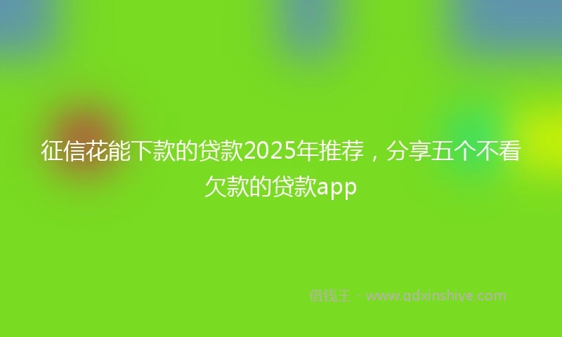 征信花能下款的贷款2025年推荐，分享五个不看欠款的贷款app