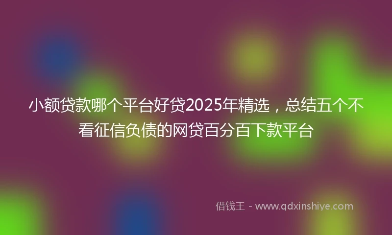 小额贷款哪个平台好贷2025年精选，总结五个不看征信负债的网贷百分百下款平台