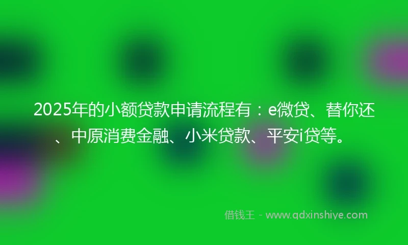 2025年的小额贷款申请流程有：e微贷、替你还、中原消费金融、小米贷款、平安i贷等。