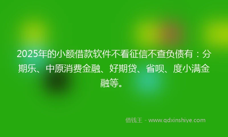 2025年的小额借款软件不看征信不查负债有：分期乐、中原消费金融、好期贷、省呗、度小满金融等。