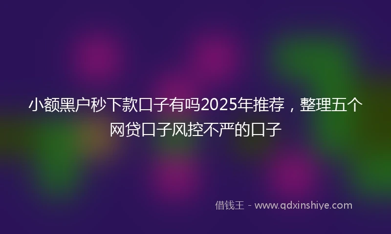 小额黑户秒下款口子有吗2025年推荐，整理五个网贷口子风控不严的口子