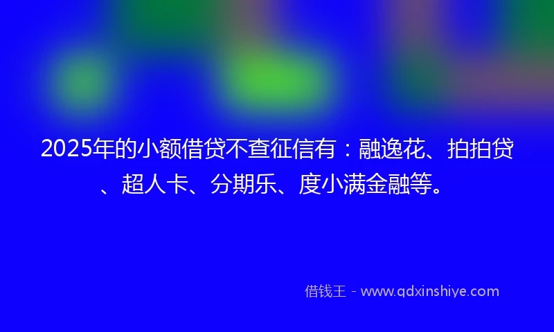 2025年的小额借贷不查征信有：融逸花、拍拍贷、超人卡、分期乐、度小满金融等。