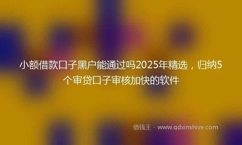 小额借款口子黑户能通过吗2025年精选，归纳5个审贷口子审核加快的软件