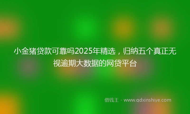 小金猪贷款可靠吗2025年精选，归纳五个真正无视逾期大数据的网贷平台