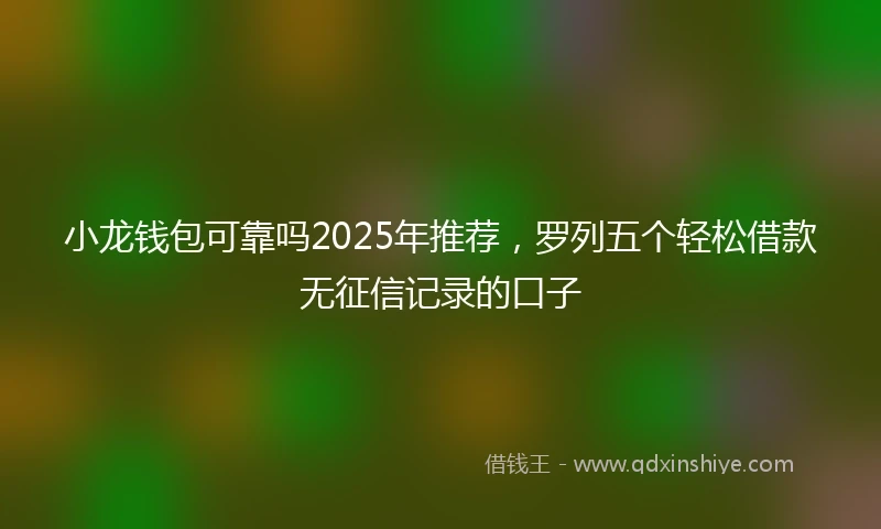 小龙钱包可靠吗2025年推荐，罗列五个轻松借款无征信记录的口子