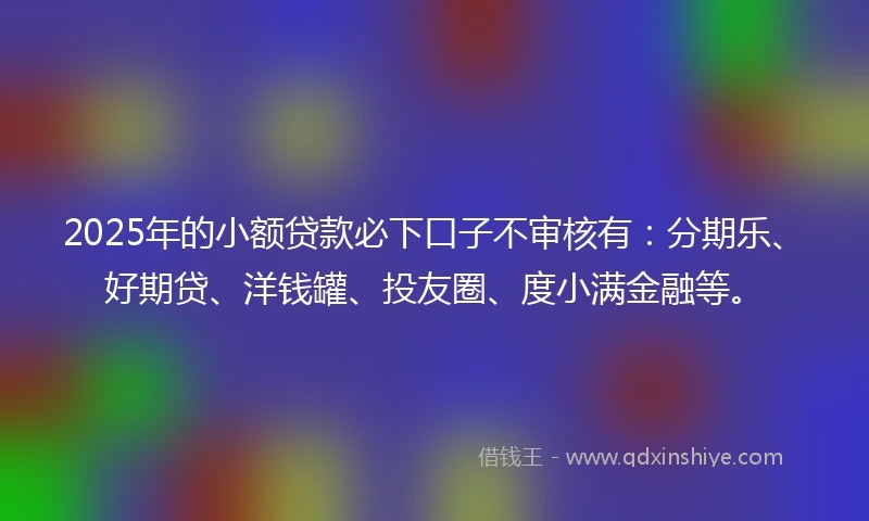 2025年的小额贷款必下口子不审核有：分期乐、好期贷、洋钱罐、投友圈、度小满金融等。