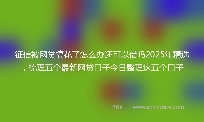 征信被网贷搞花了怎么办还可以借吗2025年精选，梳理五个最新网贷口子今日整理这五个口子