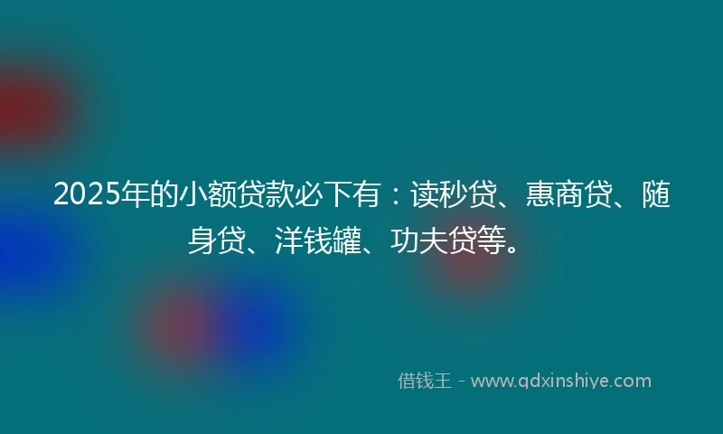2025年的小额贷款必下有：读秒贷、惠商贷、随身贷、洋钱罐、功夫贷等。