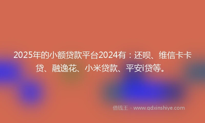 2025年的小额贷款平台2024有：还呗、维信卡卡贷、融逸花、小米贷款、平安i贷等。