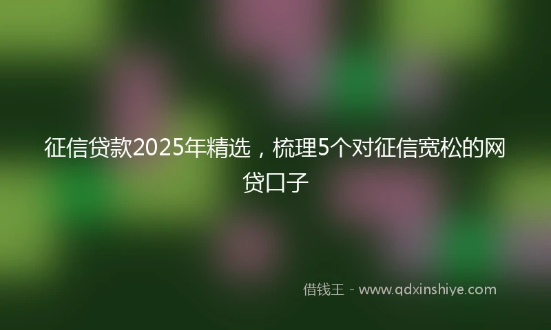 征信贷款2025年精选，梳理5个对征信宽松的网贷口子