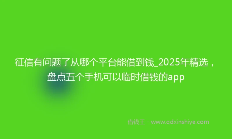 征信有问题了从哪个平台能借到钱_2025年精选，盘点五个手机可以临时借钱的app