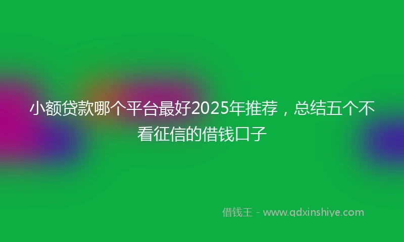 小额贷款哪个平台最好2025年推荐，总结五个不看征信的借钱口子