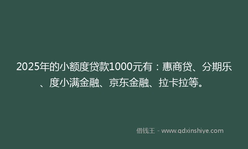 2025年的小额度贷款1000元有：惠商贷、分期乐、度小满金融、京东金融、拉卡拉等。