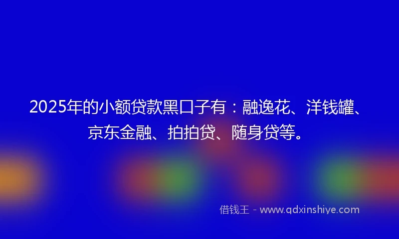 2025年的小额贷款黑口子有：融逸花、洋钱罐、京东金融、拍拍贷、随身贷等。