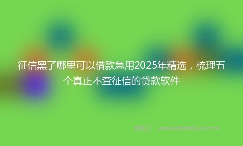 征信黑了哪里可以借款急用2025年精选，梳理五个真正不查征信的贷款软件