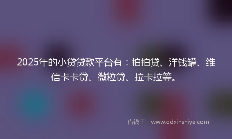 2025年的小贷贷款平台有：拍拍贷、洋钱罐、维信卡卡贷、微粒贷、拉卡拉等。