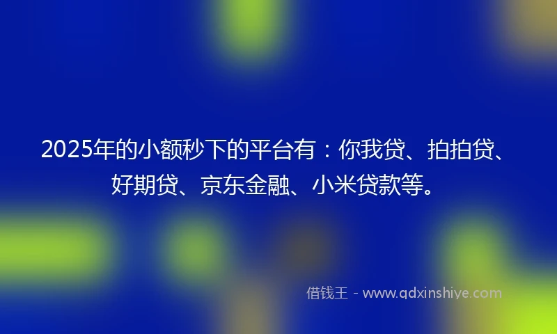 2025年的小额秒下的平台有：你我贷、拍拍贷、好期贷、京东金融、小米贷款等。