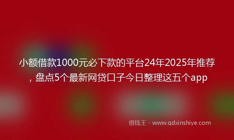 小额借款1000元必下款的平台24年2025年推荐，盘点5个最新网贷口子今日整理这五个app