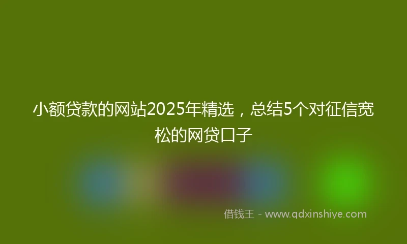 小额贷款的网站2025年精选,总结5个对征信宽松的网贷口子