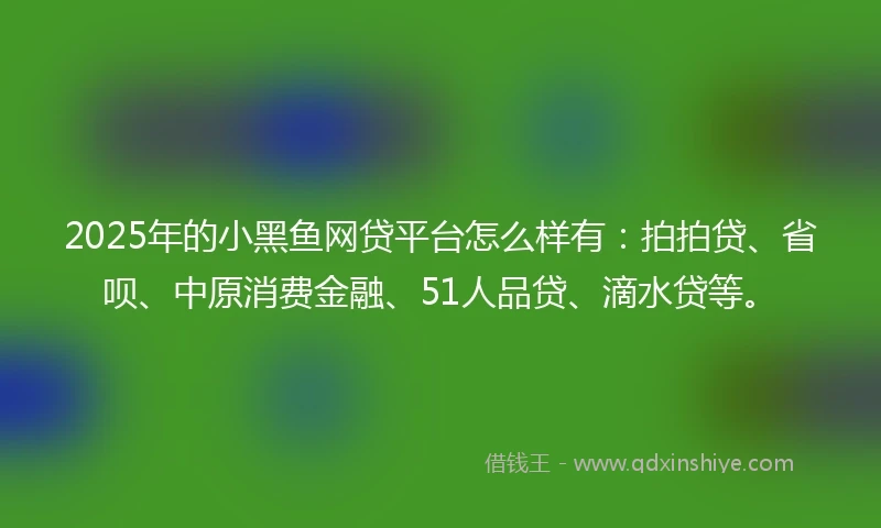 2025年的小黑鱼网贷平台怎么样有：拍拍贷、省呗、中原消费金融、51人品贷、滴水贷等。
