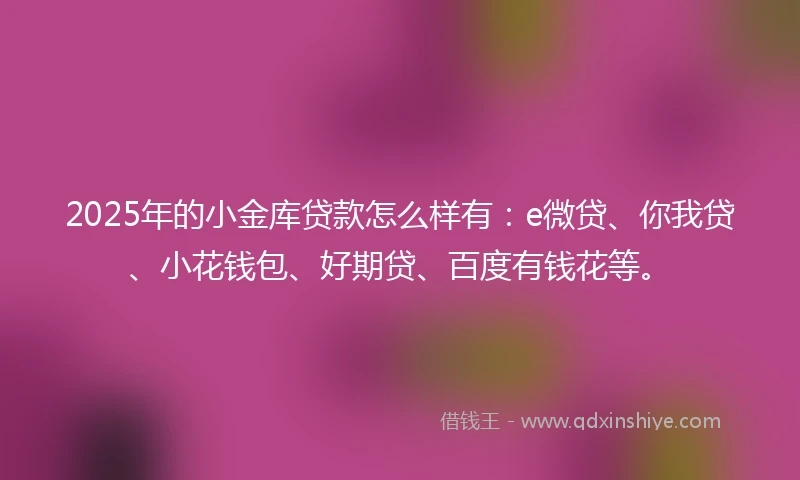 2025年的小金库贷款怎么样有：e微贷、你我贷、小花钱包、好期贷、百度有钱花等。