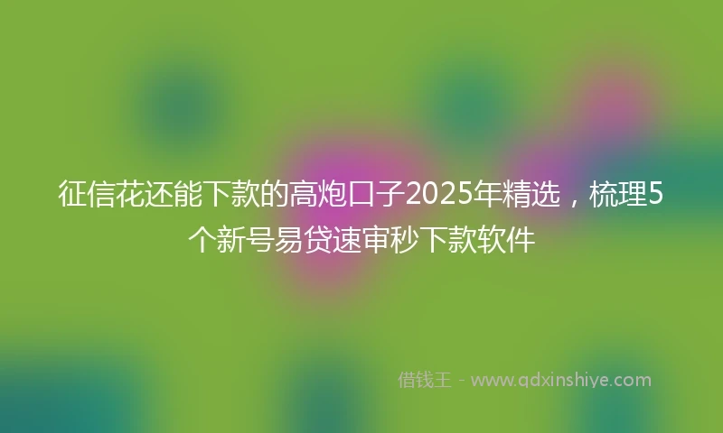 征信花还能下款的高炮口子2025年精选，梳理5个新号易贷速审秒下款软件