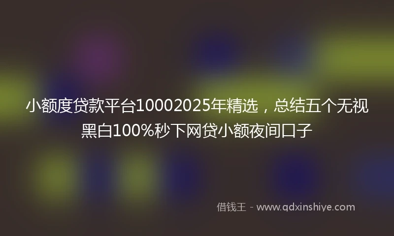 小额度贷款平台10002025年精选，总结五个无视黑白100%秒下网贷小额夜间口子
