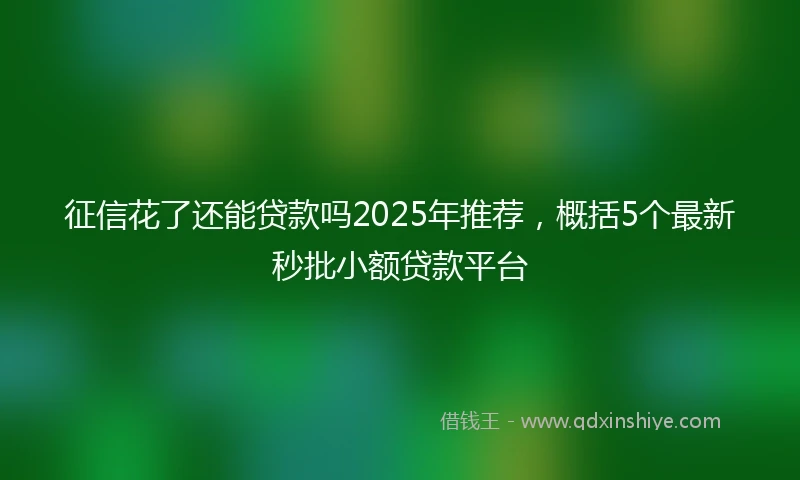 征信花了还能贷款吗2025年推荐，概括5个最新秒批小额贷款平台