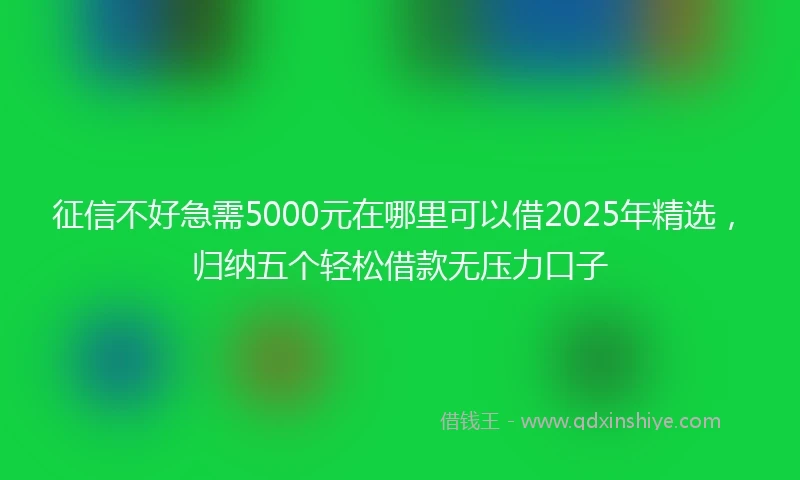 征信不好急需5000元在哪里可以借2025年精选，归纳五个轻松借款无压力口子