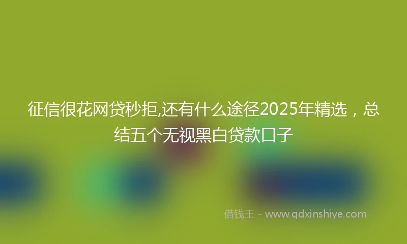 征信很花网贷秒拒,还有什么途径2025年精选，总结五个无视黑白贷款口子
