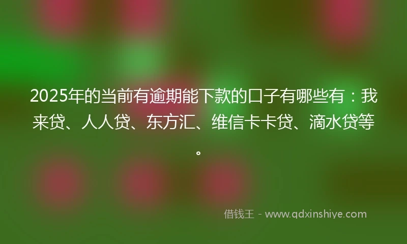 2025年的当前有逾期能下款的口子有哪些有：我来贷、人人贷、东方汇、维信卡卡贷、滴水贷等。