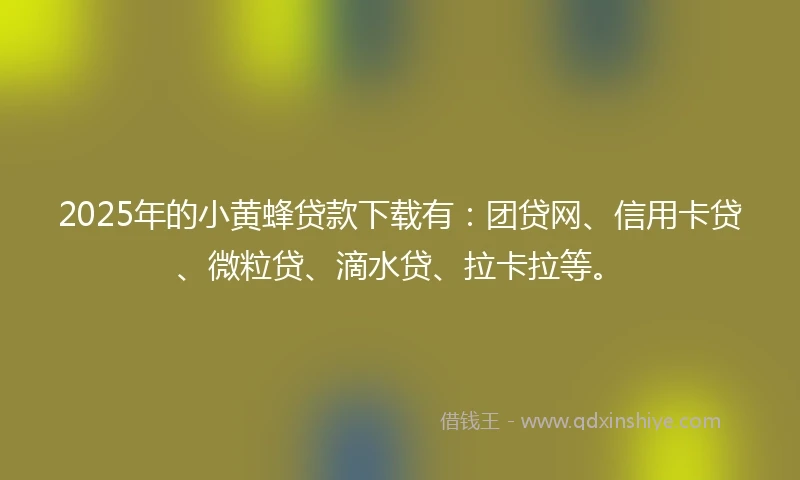 2025年的小黄蜂贷款下载有：团贷网、信用卡贷、微粒贷、滴水贷、拉卡拉等。