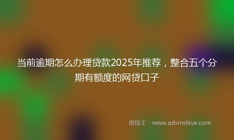 当前逾期怎么办理贷款2025年推荐，整合五个分期有额度的网贷口子