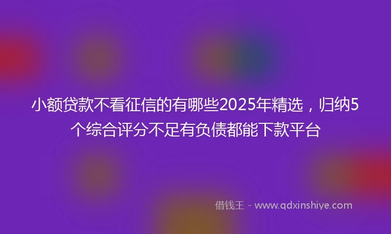 小额贷款不看征信的有哪些2025年精选，归纳5个综合评分不足有负债都能下款平台