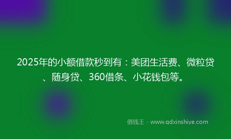 2025年的小额借款秒到有：美团生活费、微粒贷、随身贷、360借条、小花钱包等。