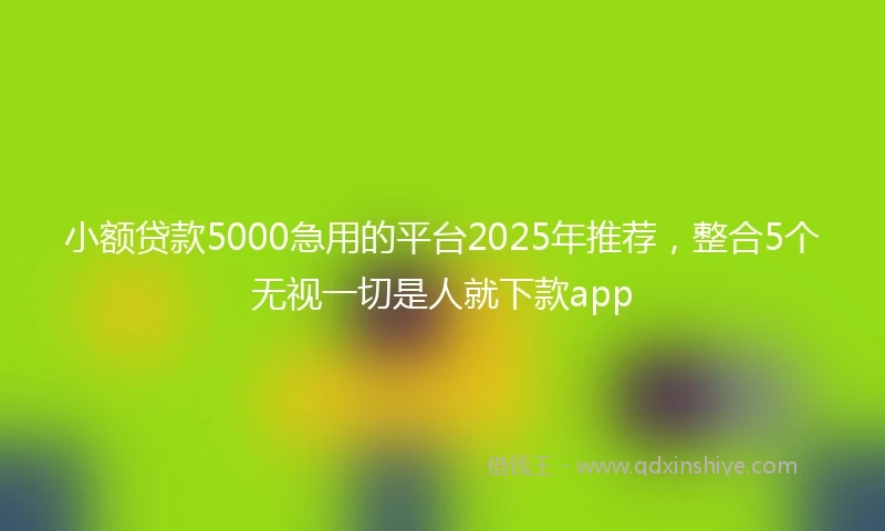 小额贷款5000急用的平台2025年推荐，整合5个无视一切是人就下款app