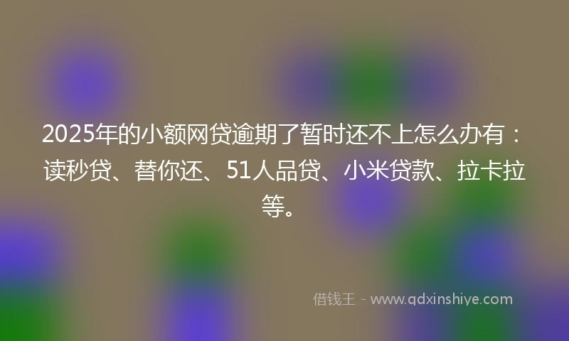 2025年的小额网贷逾期了暂时还不上怎么办有：读秒贷、替你还、51人品贷、小米贷款、拉卡拉等。