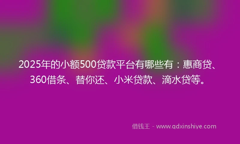 2025年的小额500贷款平台有哪些有：惠商贷、360借条、替你还、小米贷款、滴水贷等。