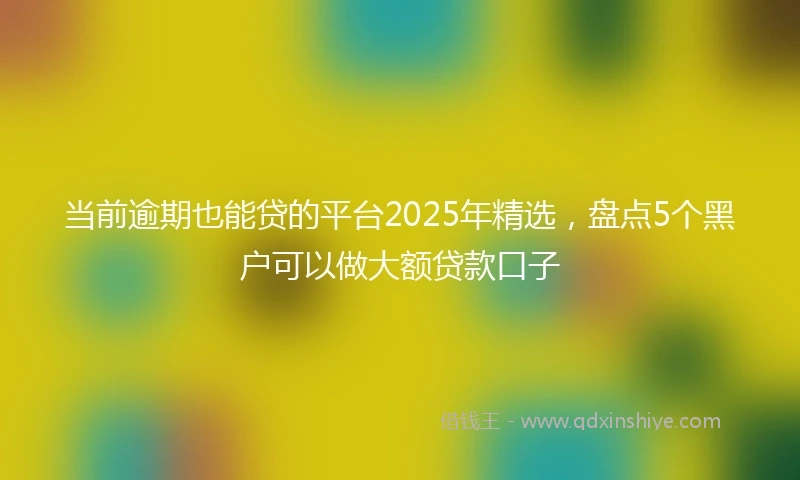 当前逾期也能贷的平台2025年精选,盘点5个黑户可以做大额贷款口子