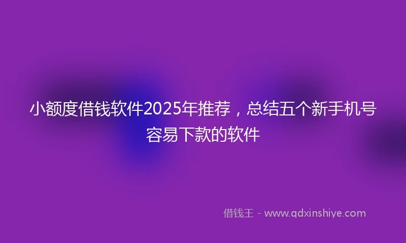 小额度借钱软件2025年推荐，总结五个新手机号容易下款的软件