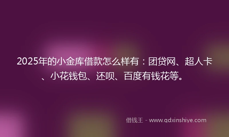 2025年的小金库借款怎么样有：团贷网、超人卡、小花钱包、还呗、百度有钱花等。