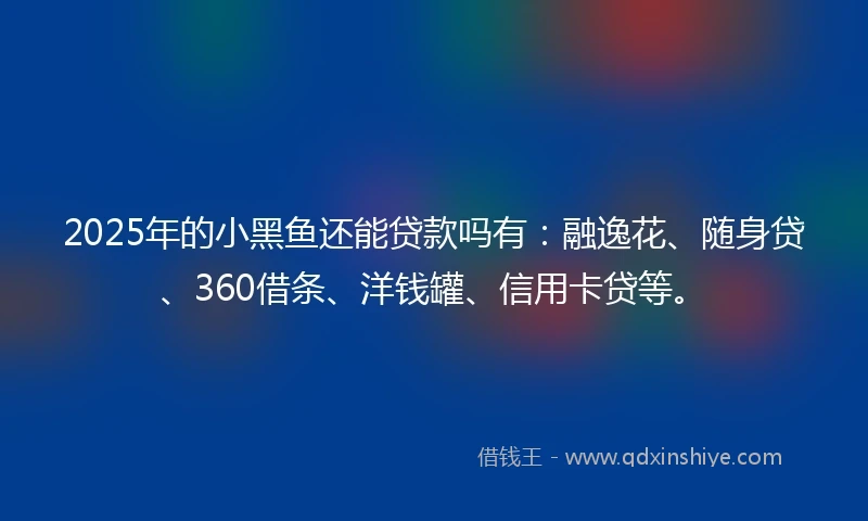 2025年的小黑鱼还能贷款吗有：融逸花、随身贷、360借条、洋钱罐、信用卡贷等。
