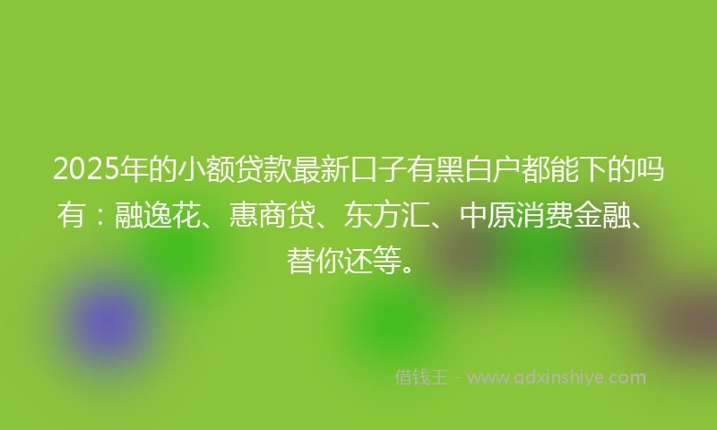 2025年的小额贷款最新口子有黑白户都能下的吗有：融逸花、惠商贷、东方汇、中原消费金融、替你还等。