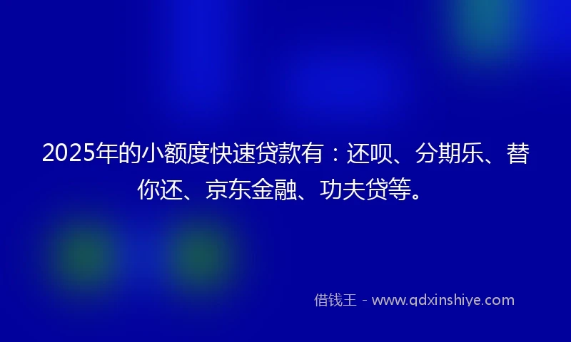 2025年的小额度快速贷款有：还呗、分期乐、替你还、京东金融、功夫贷等。