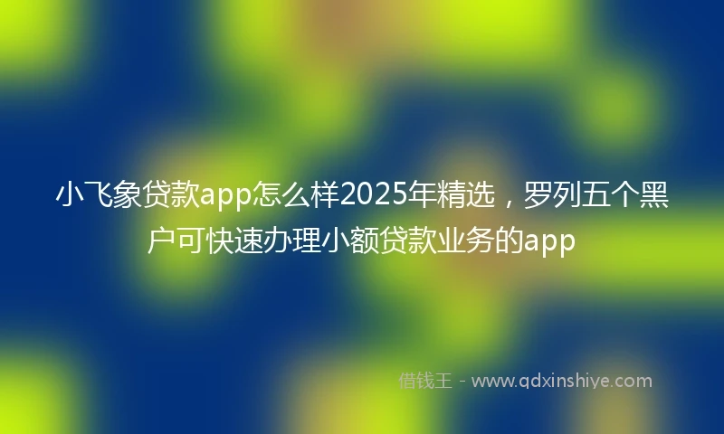 小飞象贷款app怎么样2025年精选，罗列五个黑户可快速办理小额贷款业务的app